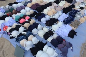 Apatinio trikotažo pardavėjas tenkino moterų įgeidžius, bet nusižengė įstatymams