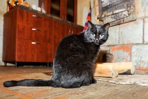 Trijuose miestuose pradedamas šildymo sezonas: aiškėja, kiek teks atverti piniginę