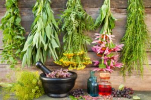 Žinovė išvardijo pačias naudingiausias vaistažoles ir prieskonines žoleles