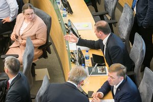 G. Landsbergis prašo V. Pranckiečio nenusileisti A. Širinskienei