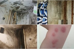 Po šiurpių vaizdų iš studentų bendrabučio – viešas atsiprašymas ir dar vienas įspėjimas
