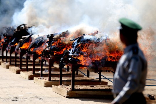 Mianmare sudeginta laukinių gyvūnų dalių už 1,1 mln. eurų