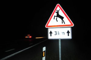 Kelyje Vilnius–Panevėžys 3 automobiliai susidūrė su briedžiu