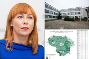 Išvydę algalapius pedagogai nusivylę, ministrė pirštu beda į mokyklas