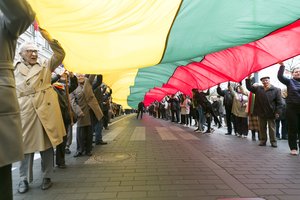 10 mokslininkų siūlo kovo 9-ąją minėti Lietuvos dieną