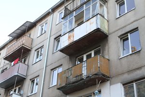 Kraupus poelgis Alytuje: vyras per balkoną išmetė kaimynės šunį