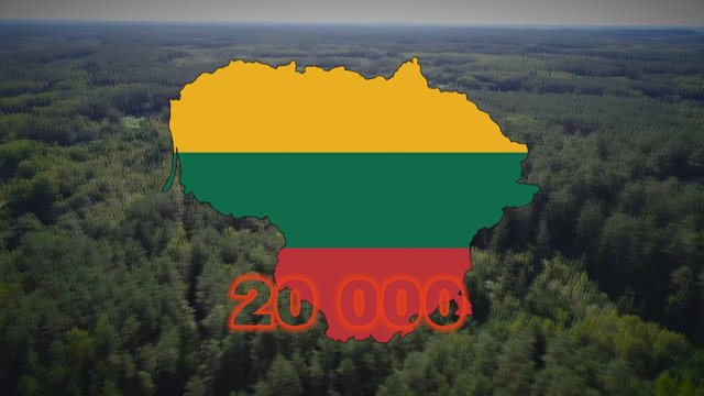 Šokiruojanti žinia: „Ikea“ Lietuvoje jau nupirko 20 000 hektarų miškų