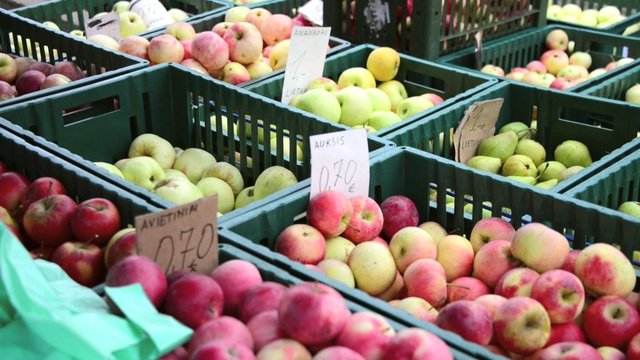 Turguose – lietuviški kokybiški obuoliai