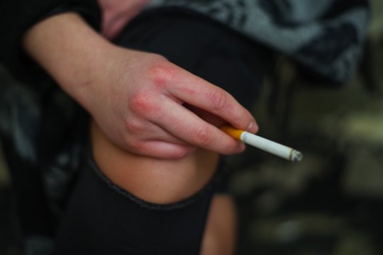 Austrijai atsibodo „Europos peleninės“ etiketė: remia seniai planuotą draudimą