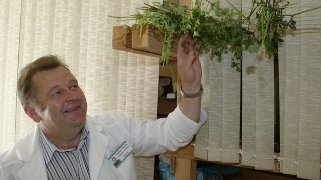 Juozas Ruolia įvardijo neįprastą produktą, kuris padėtų įveikti vėžį