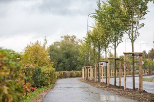 Teismas nusprendė: medžių kirtimui besipriešinusiems kauniečiams neturi būti skirtos baudos