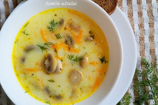 Grybų sriuba su sūriu – tobulai skani