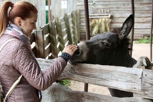 Pokyčiai Lietuvos zoologijos sode – paskelbė džiugią žinią