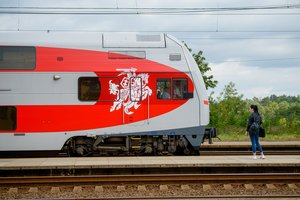 Traukinio mašinistas įvardino, kokį atstumą nuvažiuoja staigiai stabdomas sąstatas