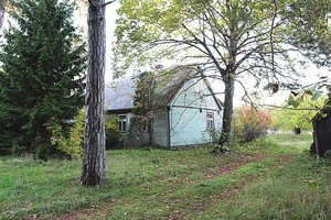 Orgijomis Palangą šiurpinusi benamių gauja liepto galą priėjo po kraupios egzekucijos