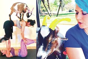 Pribloškianti įmonės paslauga – vakarėliams nuomoja neįprastus svečius