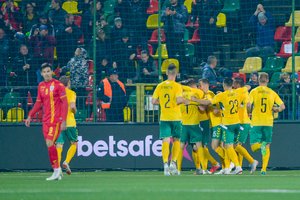 Lietuvos rinktinė apmaudžiai paleido lygiąsias: paskutinę minutę nusileido Rumunijai