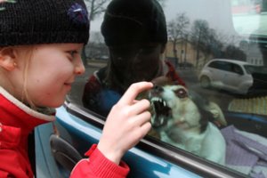 Po grasinimų baudomis dėl augintinių triukšmo – svarbus pakeitimas