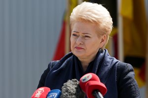 D. Grybauskaitė pasakė, kas kelia pavojų nacionaliniam saugumui