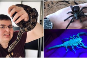 Gerardo namuose keturiolikos rūšių gyvūnai: „Žaltys – mano mėgstamiausias naminis gyvūnas“