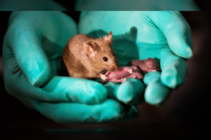 Įrodė praktiškai: susilaukti vaikų tėvas nebereikalingas