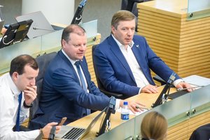 Politikos ekspertė: po prezidento rinkimų Lietuva gali pasukti V. Orbano ir J. Kačinskio politikos keliu