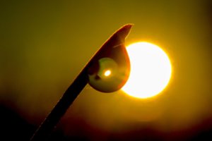 Lrytas.lt galerija: ramybe dvelkianti auksinio rudens ryto rasa