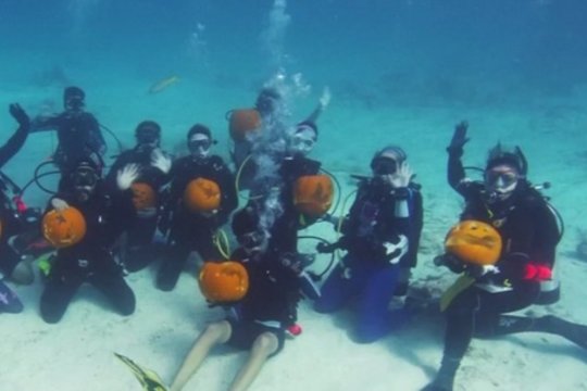 Sunku patikėti akimis, ką nardytojai veikė po vandeniu