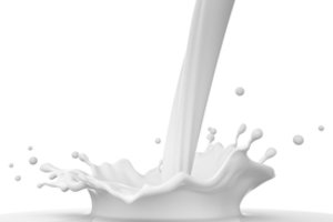 Išaugo pieno supirkimo kaina