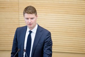 Mykolo Majausko apkaltos komisijos idėja Seime neišdegė