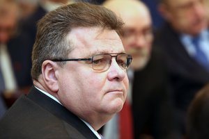 Laisvės kovotojai prašo L. Linkevičiaus atsiprašyti, o to nepadarius – atsistatydinti
