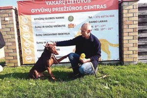 Lietuvoje dėl tragedijos nuskambėjęs šuo Ramzis vėl turi namus