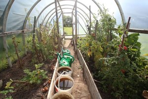 Kaip paruošti šiltnamį žiemai? 4 paprasti patarimai