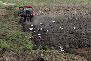 Dėl klimato kaitos perspėjo Lietuvos ūkininkus: įpročius teks keisti