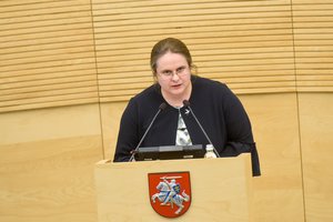 Seimo TTK vadovė sako, kad kito komiteto padaryta pertrauka išvadų dėl LRT nesustabdys