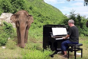 Pianinu aklam drambliui skambinęs vyras sulaukė širdį jaudinančios reakcijos