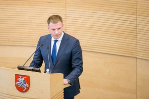 Seime – ginčai dėl biudžeto: prakalbo apie skleidžiamus gandus dėl kultūros finansavimo
