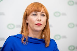 G. Landsbergis įvardijo, kas slepiasi po VTEK skandalu