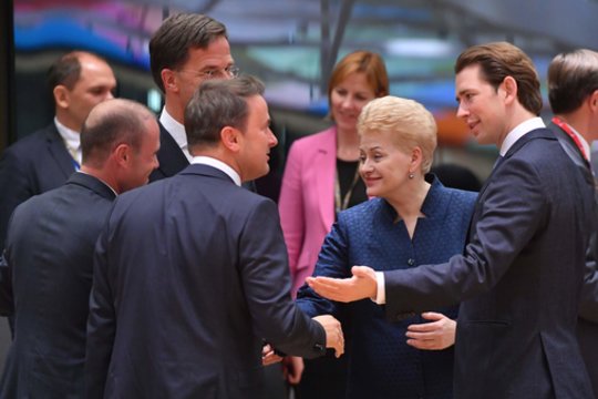 ES lyderiai siekdami sustabdyti migrantų srautą planuoja stiprinti sienų apsaugą