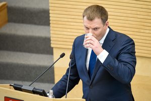 Finansų ministras: PVM lengvata malkoms kol kas nenumatyta