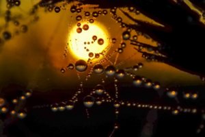 Ypatingas gamtos grožis Žemaitijoje paglostys jūsų akis