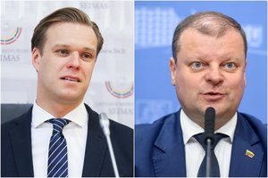 G. Landsbergis pratrūko: premjerą išvadino melagiu ir bailiu, nori neeilinio posėdžio