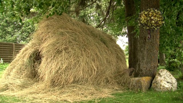 Pasakė, kaip pirtyje galima panaudoti šieną ir kuo jis naudingas organizmui