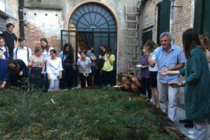 Lietuvių pasirinkimas stebina – architektų pasauliui nuvežė lietuviškos pelkės