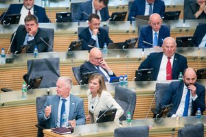 Seimas priėmė pataisas dėl partijų finansavimo – socialdarbiečiams bus skiriama dotacija