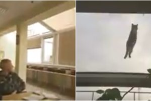 Būsimi pasieniečiai užfiksavo patruliuojančią tarnybinę katę