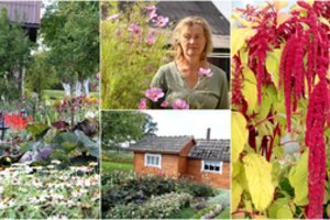 Šalia kuklaus  mūrinuko Rokiškio rajone – darbštuolės sukurtas grožis