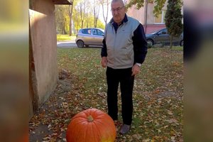 Moliūgas virto milžinu nei laistytas, nei tręštas