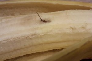 Lietuvoje parduodamuose bananuose ir mėsoje – pavojingi radiniai: įspėja pasisaugoti