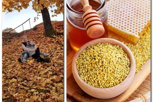 Elena Puidokaitė-Bruzgulienė išgydė dukterį močiutės rekomenduotu produktu